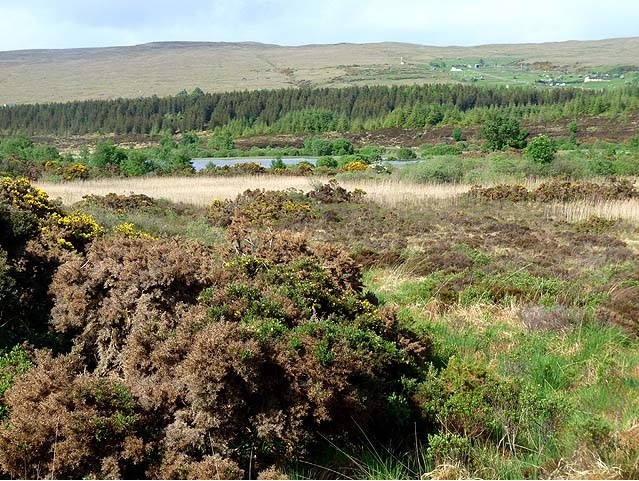 Lough Nacorralea