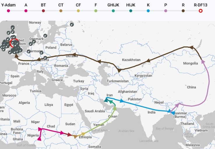 My Y Map