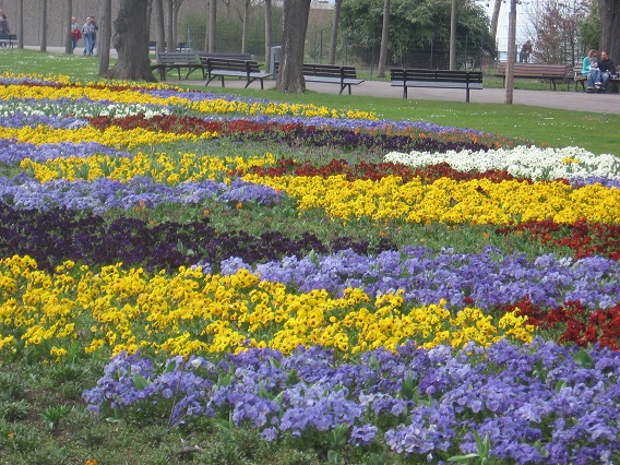 Stuttgart Zoo flowers