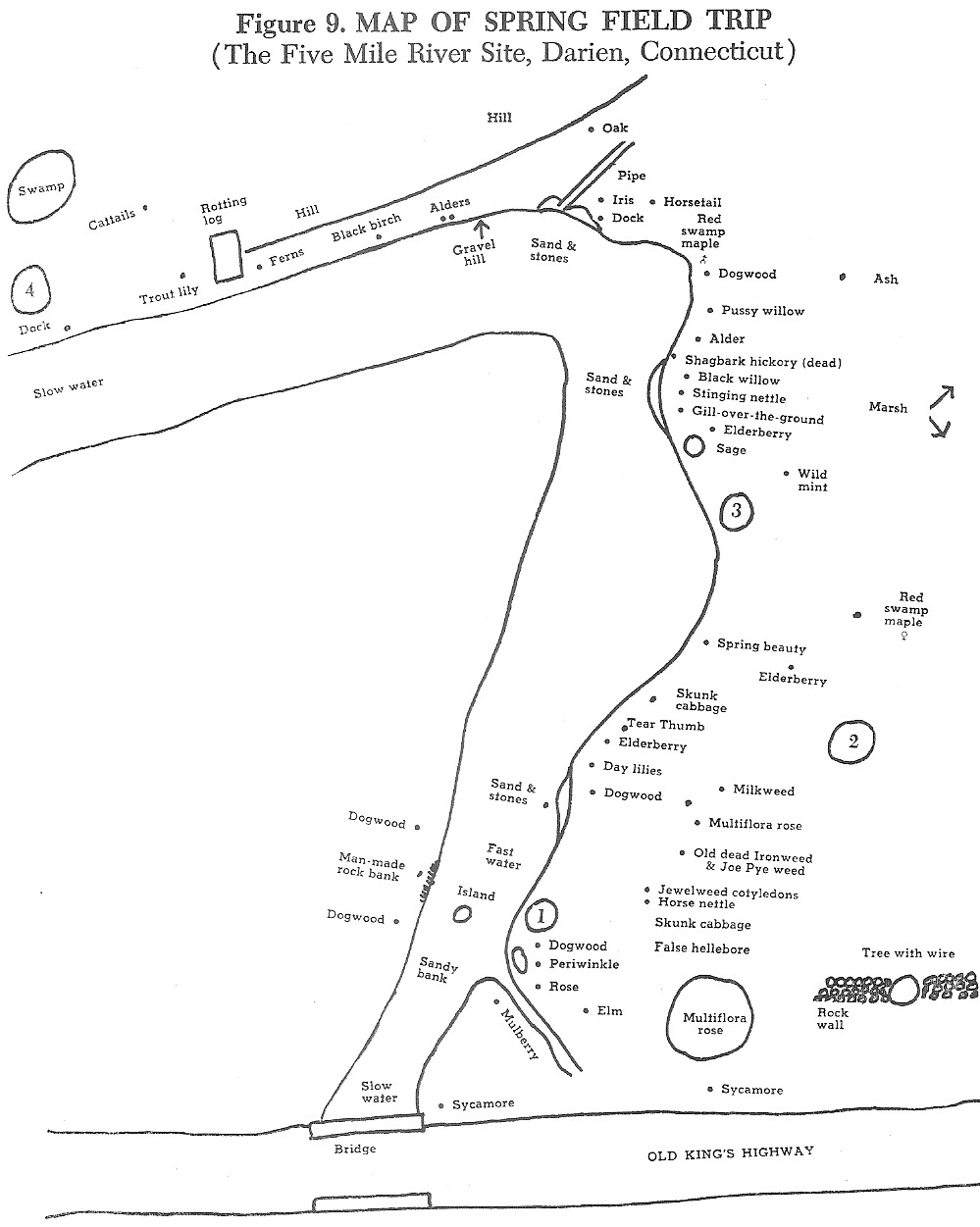 The River Book Map